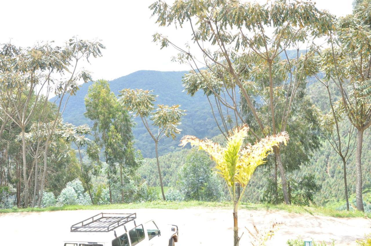 Nyungwe Nziza Ecolodge Kitabi Exterior foto