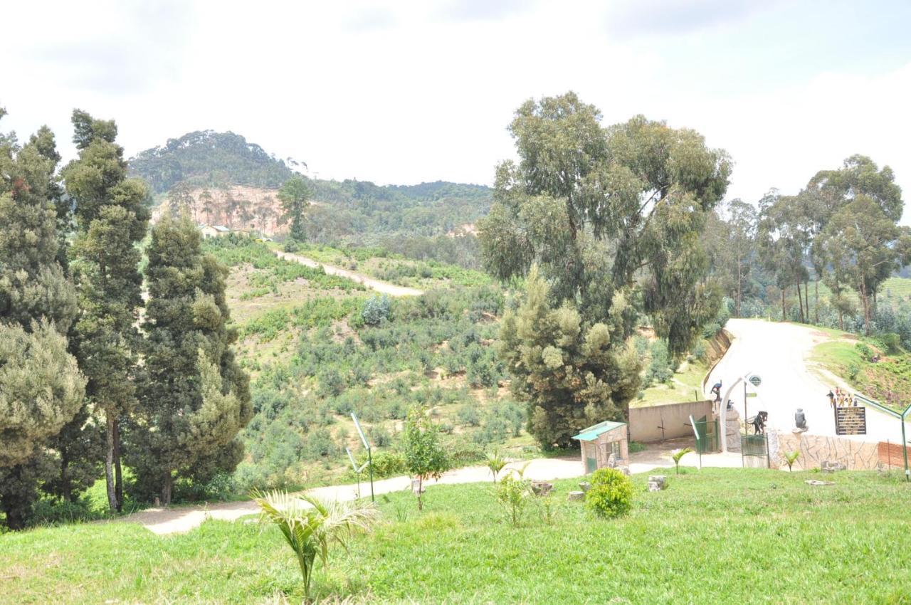 Nyungwe Nziza Ecolodge Kitabi Exterior foto